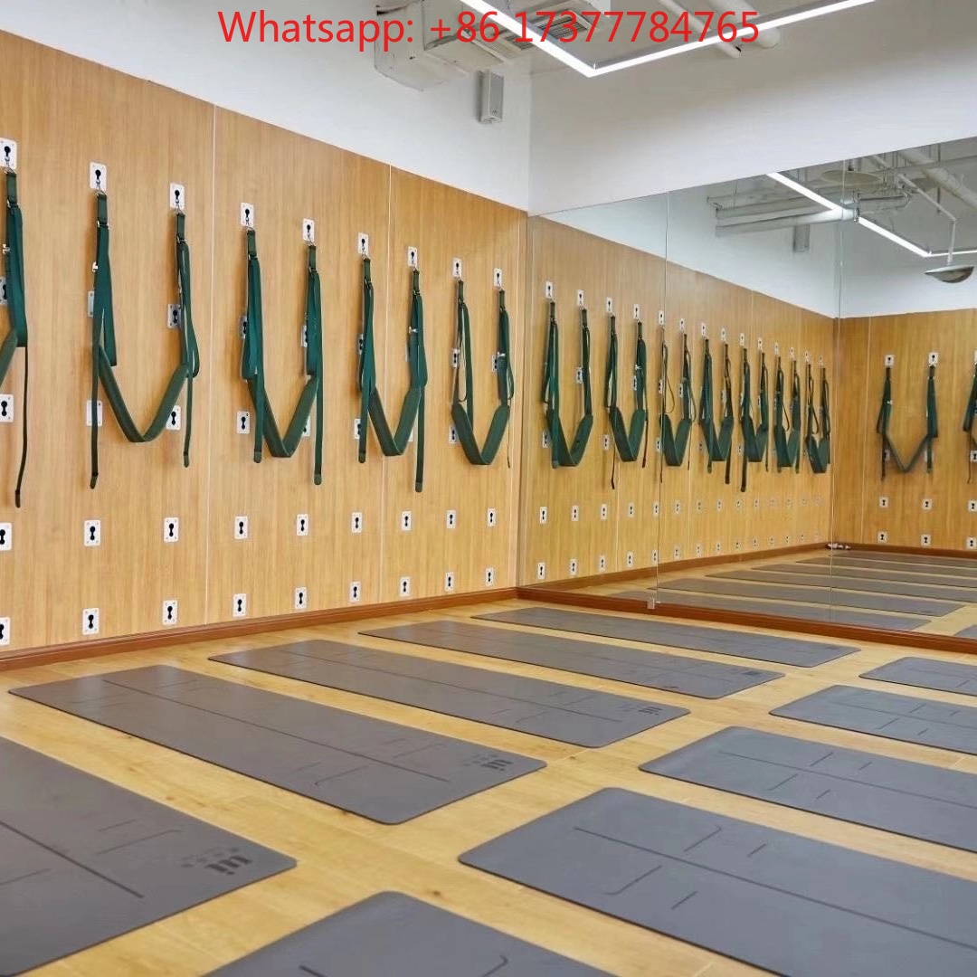 Pilates Wall Mounted Unit Yoga - Pilates Yoga Lab 리뷰 및 가격